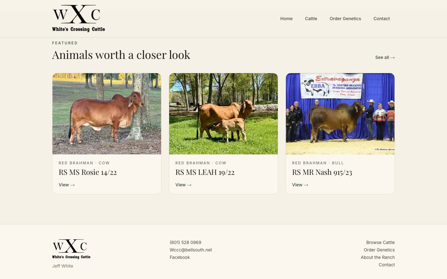 White's Crossing Cattle website